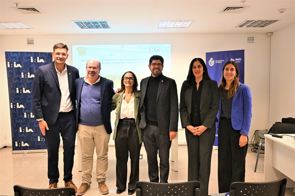 Fotos lanzamiento de proyecto