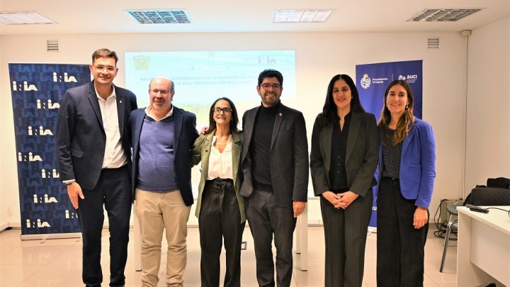 Fotos lanzamiento de proyecto