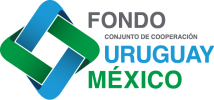 fondo-uru-mex